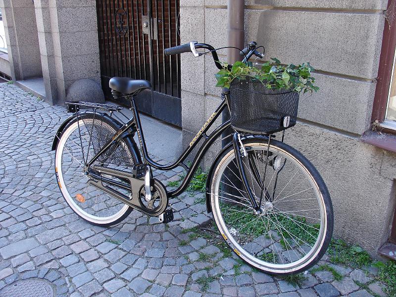 DSC02265.JPG - จักรยานต้อนรับหน้าร้อน... ผู้สูงอายุเค้าชอบเอาเครือไม้ หรือดอกไม้มาประดับตระกร้ากัน