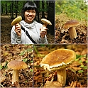 Mushrooms27082010-007
